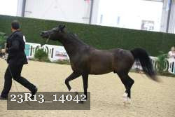 23R13_14042 proof