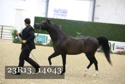 23R13_14043 proof