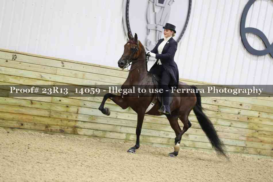 Proof 23R13_14059