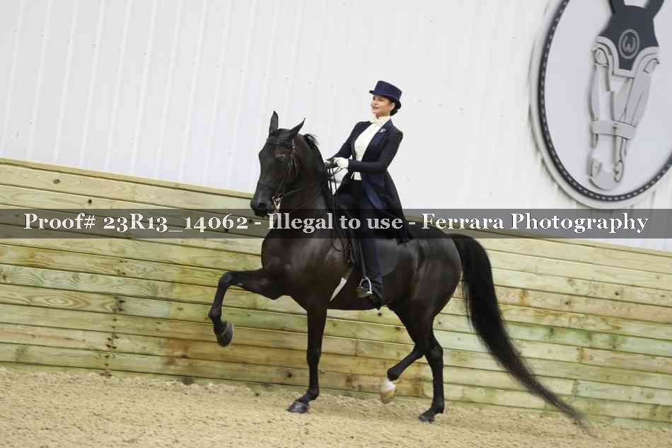 Proof 23R13_14062