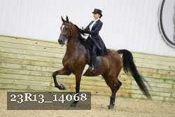 23R13_14068 proof
