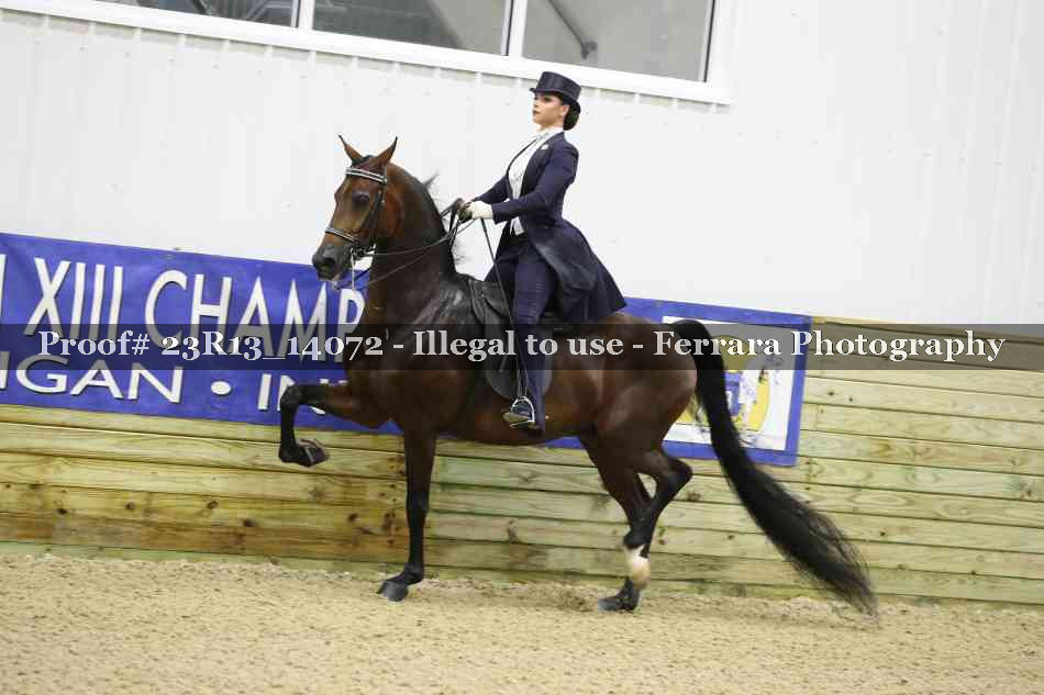 Proof 23R13_14072