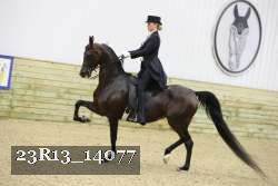 23R13_14077 proof