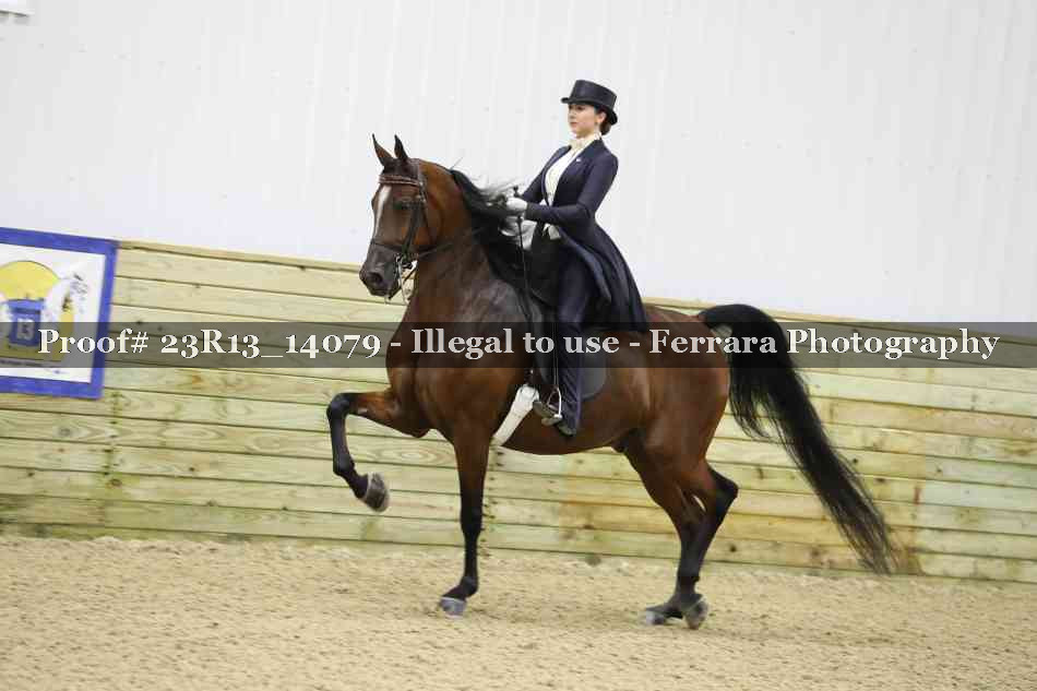 Proof 23R13_14079
