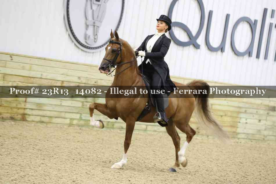 Proof 23R13_14082