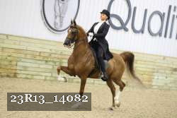 23R13_14082 proof
