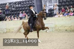 23R13_14099 proof