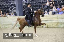 23R13_14100 proof