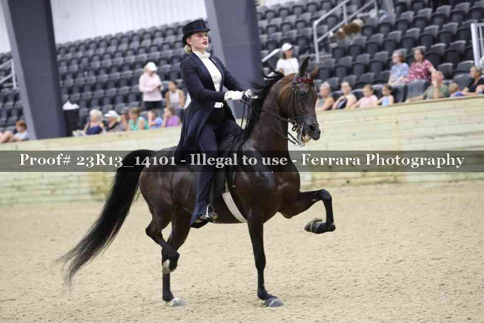 Proof 23R13_14101