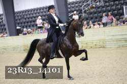 23R13_14101 proof
