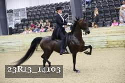 23R13_14103 proof