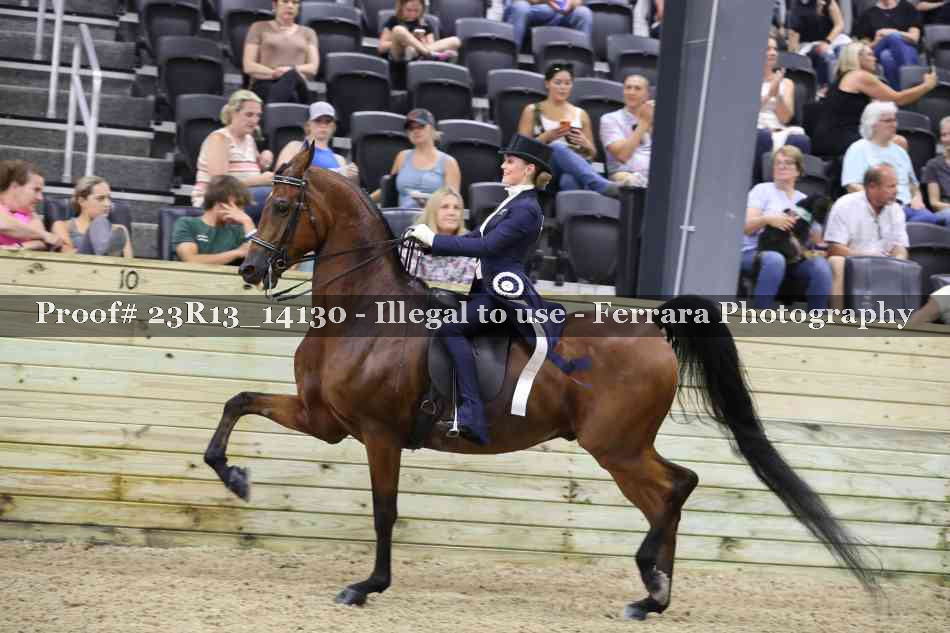 Proof 23R13_14130