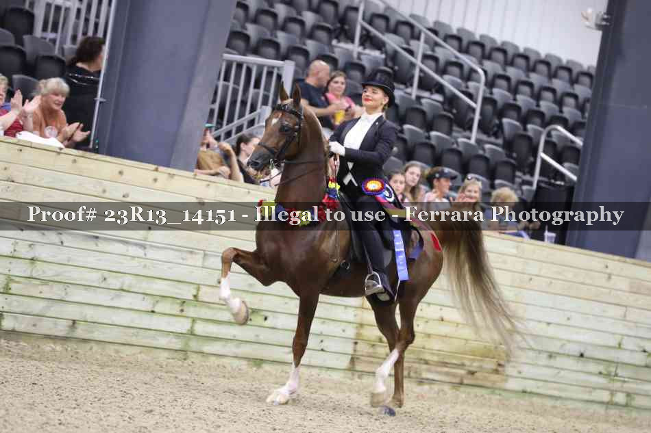 Proof 23R13_14151