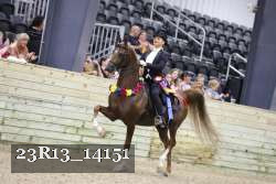 23R13_14151 proof