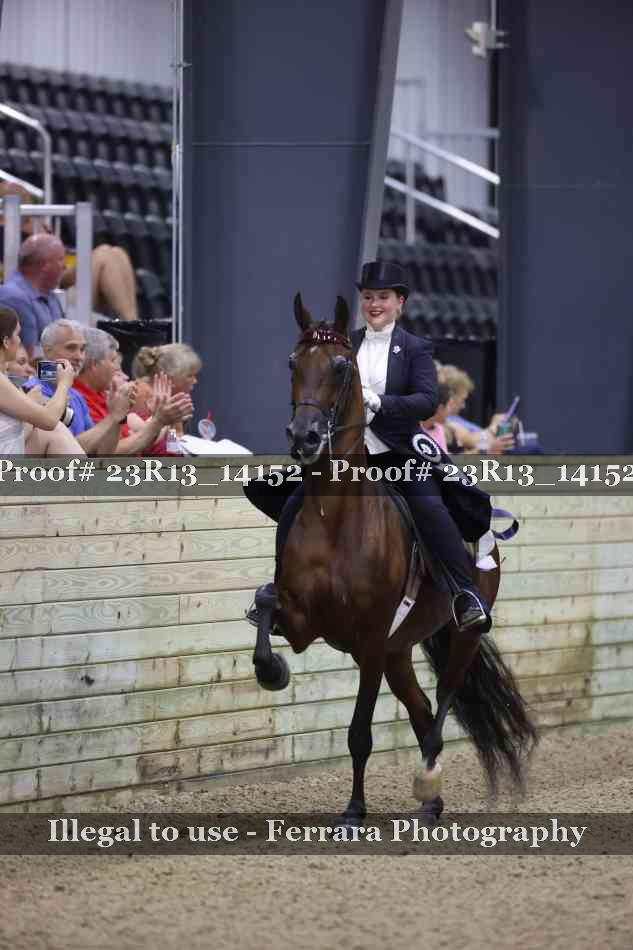 Proof 23R13_14152
