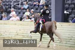23R13_14161 proof