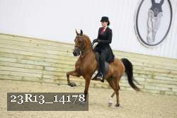 23R13_14178 proof