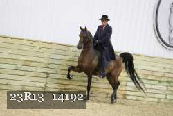 23R13_14192 proof
