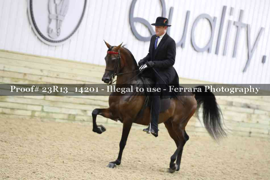 Proof 23R13_14201