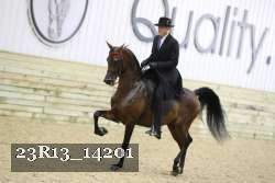 23R13_14201 proof
