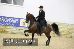 23R13_14202 proof