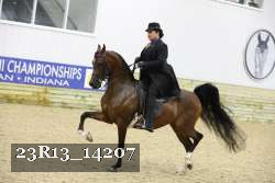 23R13_14207 proof