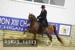 23R13_14213 proof