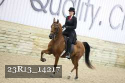 23R13_14217 proof