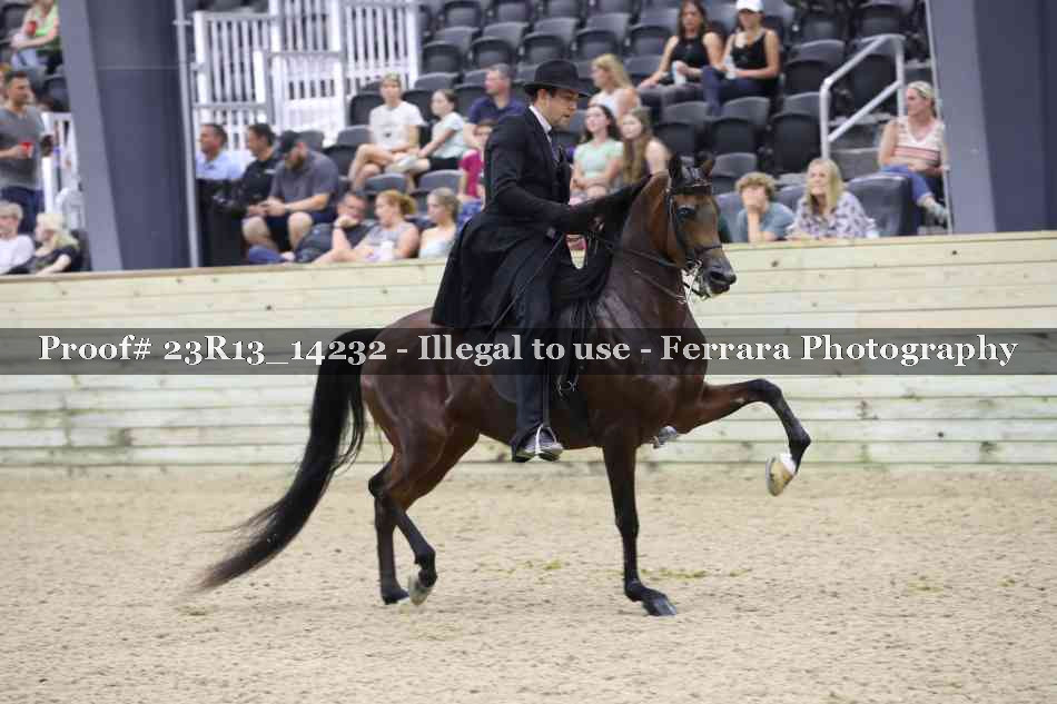 Proof 23R13_14232