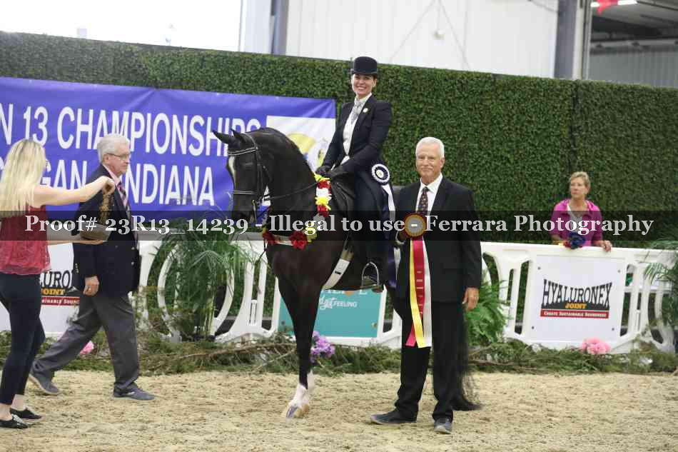 Proof 23R13_14239
