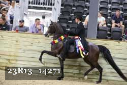 23R13_14271 proof
