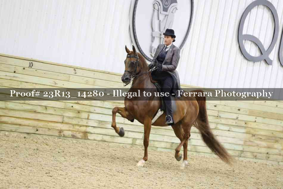Proof 23R13_14280