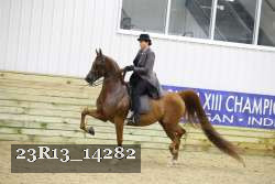 23R13_14282 proof
