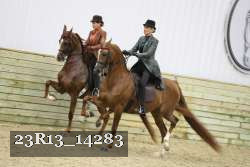 23R13_14283 proof