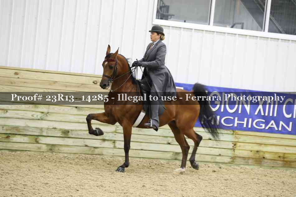 Proof 23R13_14285