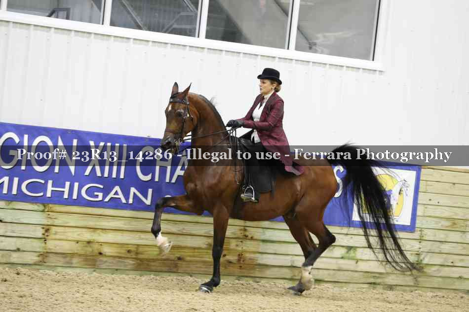Proof 23R13_14286