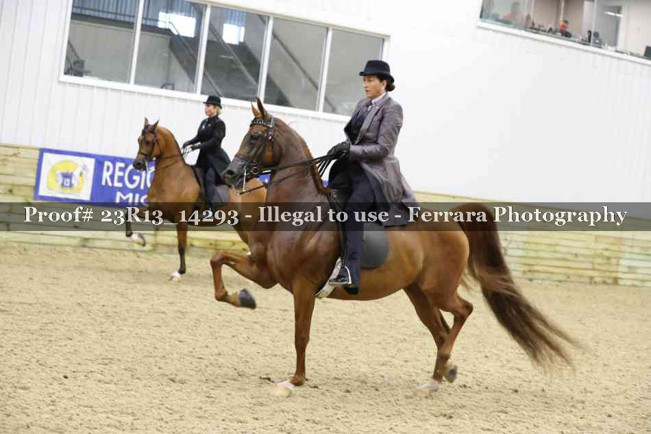 Proof 23R13_14293