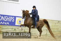 23R13_14294 proof