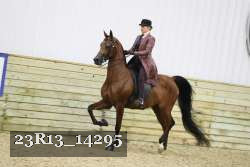 23R13_14295 proof