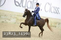 23R13_14301 proof