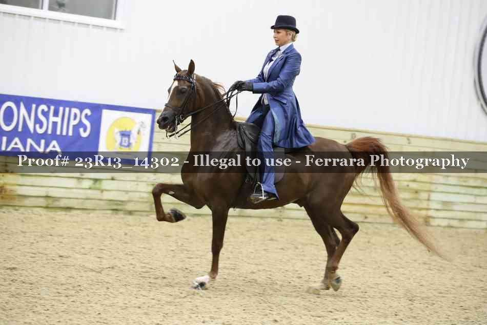 Proof 23R13_14302