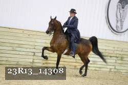 23R13_14308 proof