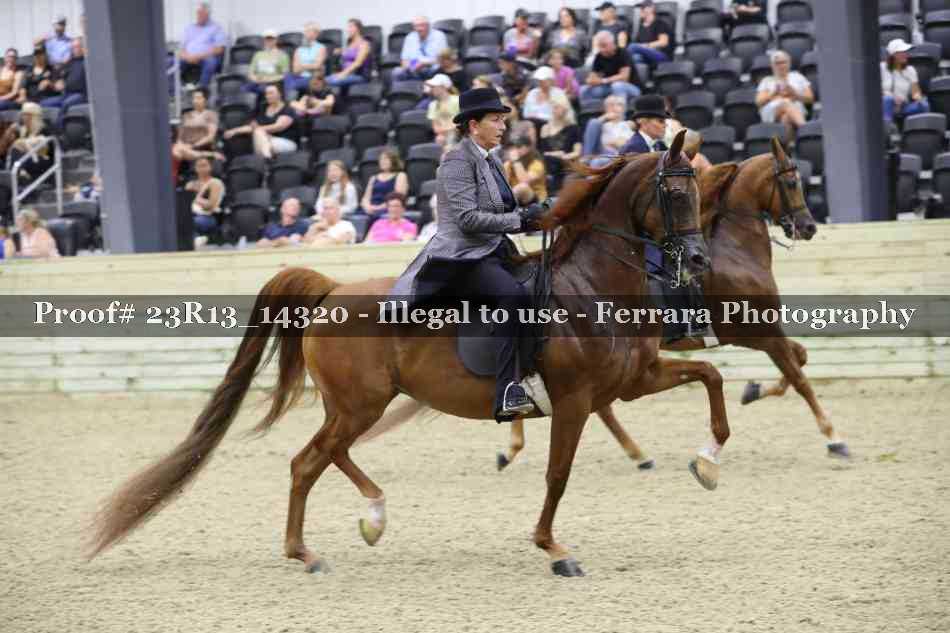 Proof 23R13_14320