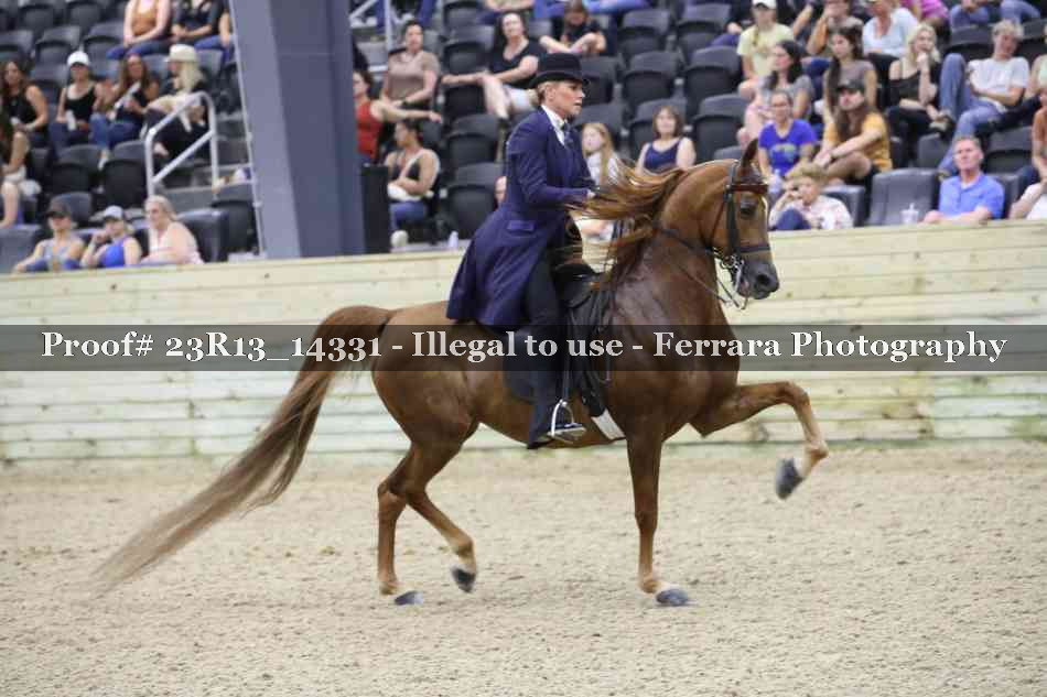 Proof 23R13_14331