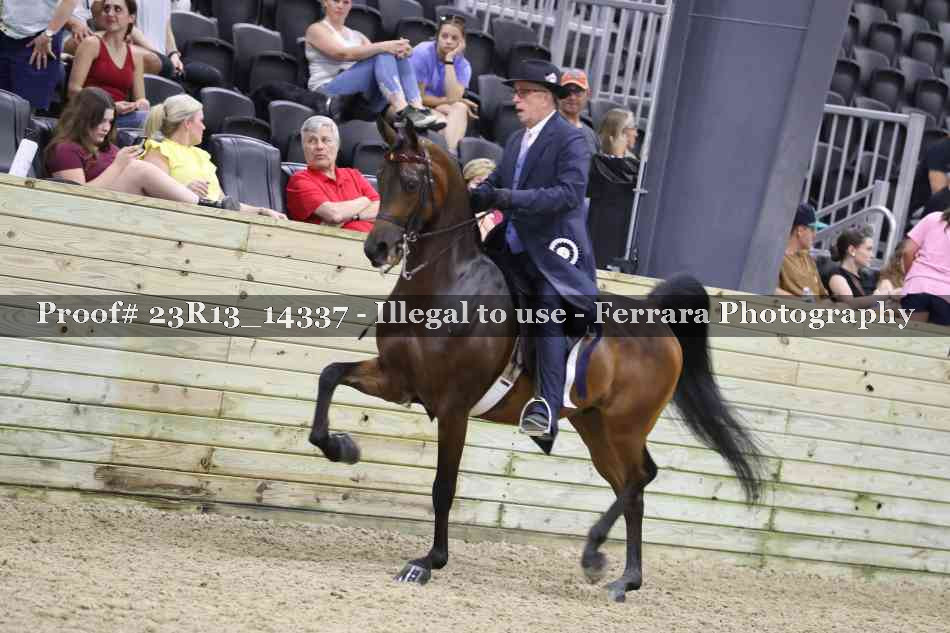 Proof 23R13_14337