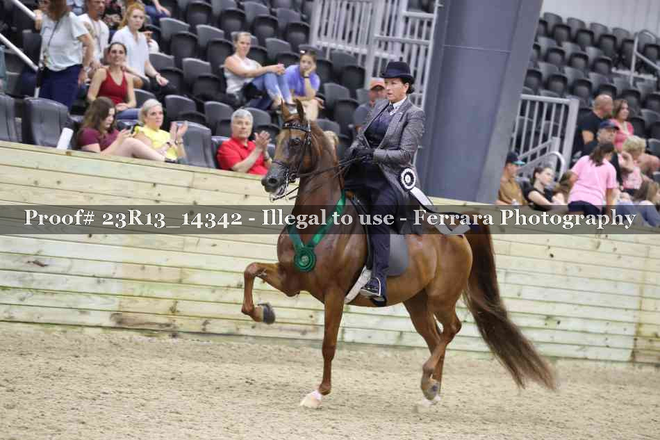 Proof 23R13_14342