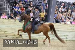 23R13_14345 proof