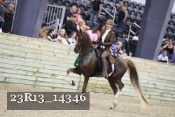 23R13_14346 proof