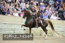 23R13_14348 proof