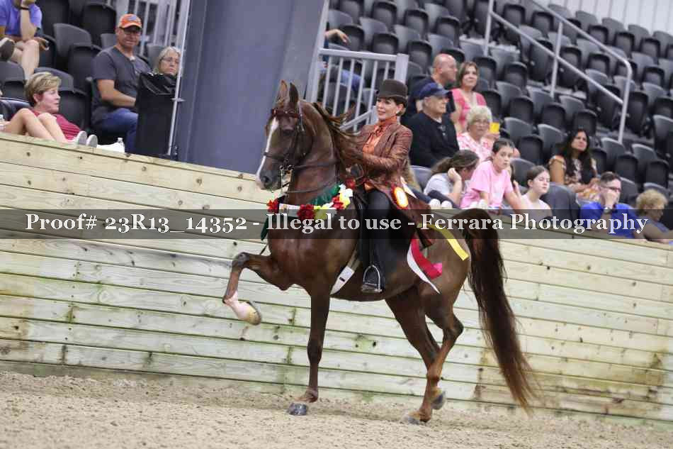 Proof 23R13_14352